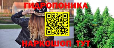гидра Старая Купавна